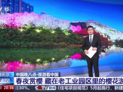 榮登央視《東方時空》丨湖南湘江新區學士街道晚安家居文化園夜櫻盛放
